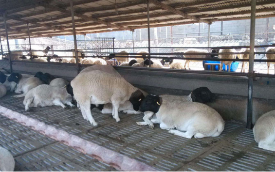 1633999777373261.png image.png