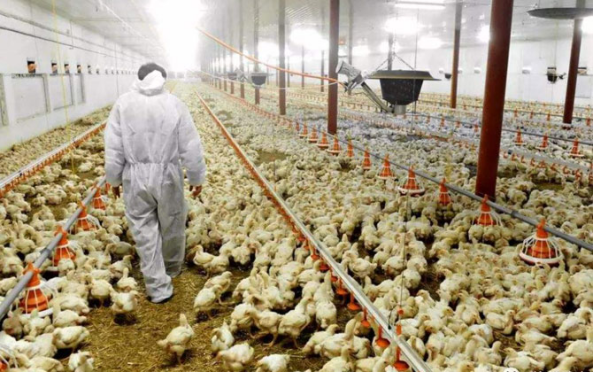 1633999837923936.png image.png