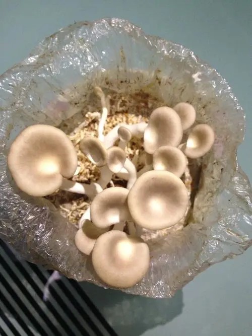 1645064425737621.jpg 1635496214(1).jpg